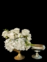 Lore Vazo